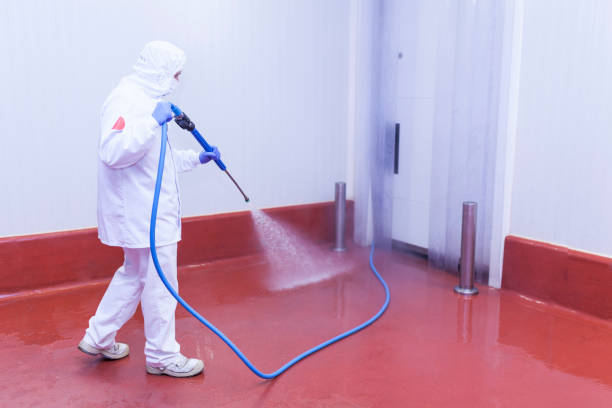 Best Pre-Holiday Cleaning  in Malone, FL