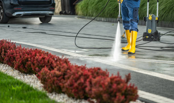 Best Roof Washing  in Malone, FL