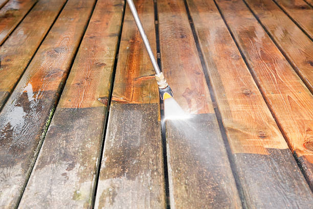 Best Gutter Cleaning  in Malone, FL